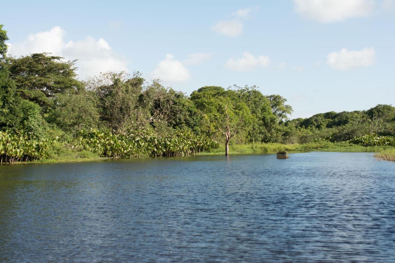 Rio Das Garcas Eco Resort เซาโจเซเดมิปิบู ภายนอก รูปภาพ