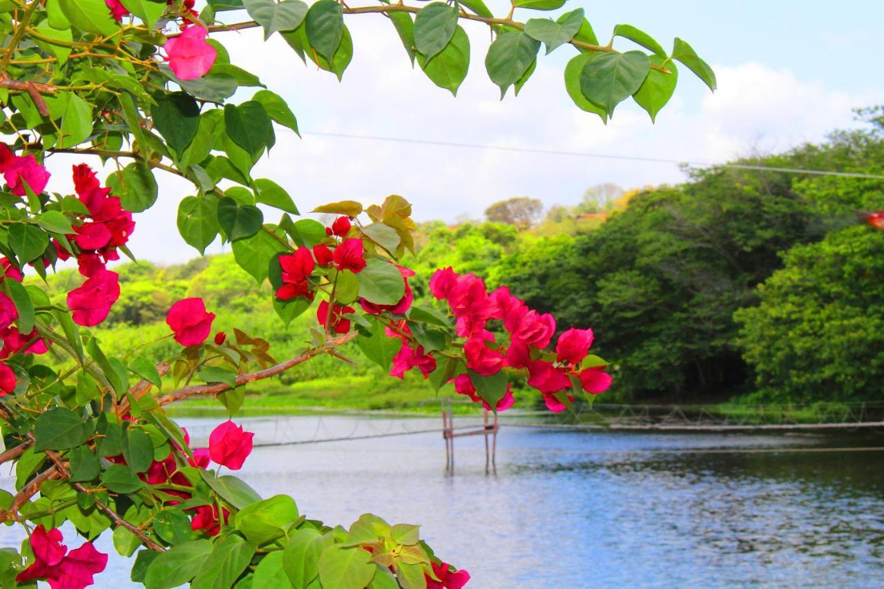 Rio Das Garcas Eco Resort เซาโจเซเดมิปิบู ภายนอก รูปภาพ